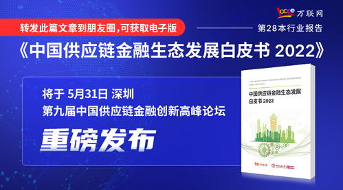 實業(yè)投資 大消費領(lǐng)域的堅實基石與未來機遇