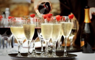 新世代“微醺”經(jīng)濟 解碼酒水消費年輕化趨勢與營銷新玩法